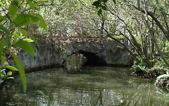 Arch Creek, Florida